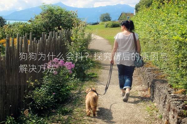 狗狗為什么會(huì)抖？探究背后的原因與解決方法