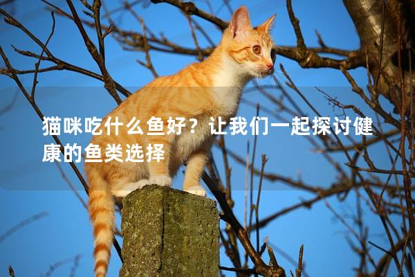 貓咪吃什么魚好？讓我們一起探討健康的魚類選擇