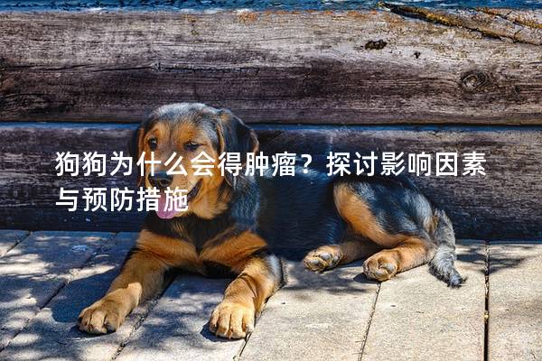 狗狗為什么會得腫瘤？探討影響因素與預防措施