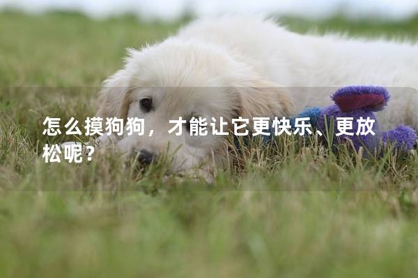 怎么摸狗狗,才能讓它更快樂、更放松呢? 怎么摸狗狗,才能讓它更快樂、更放松呢?