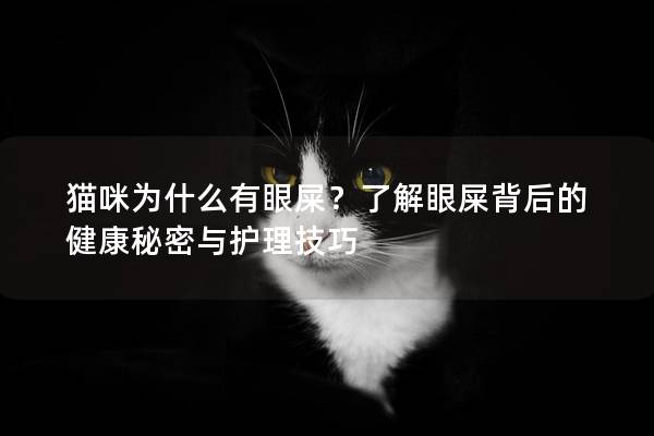 貓咪為什么有眼屎？了解眼屎背后的健康秘密與護理技巧