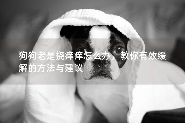 狗狗老是撓癢癢怎么辦，教你有效緩解的方法與建議