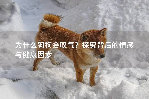 為什么狗狗會(huì)嘆氣？探究背后的情感與健康因素