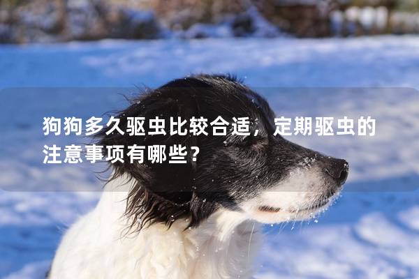 狗狗多久驅蟲比較合適，定期驅蟲的注意事項有哪些？
