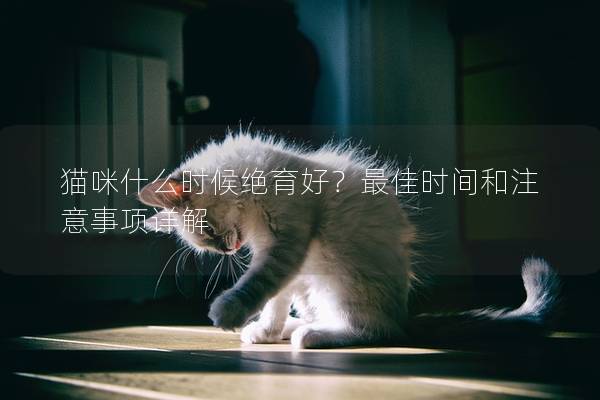 貓咪什么時候絕育好？最佳時間和注意事項詳解
