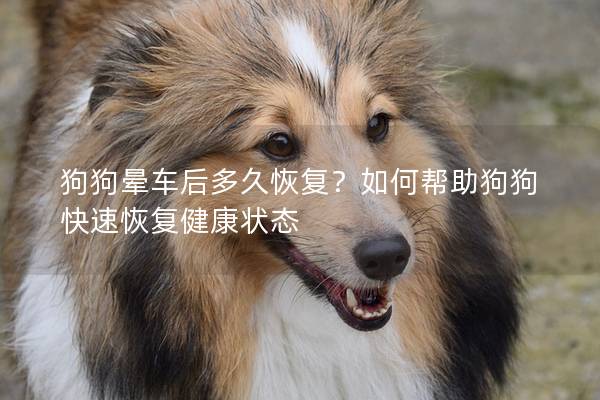 狗狗暈車后多久恢復？如何幫助狗狗快速恢復健康狀態