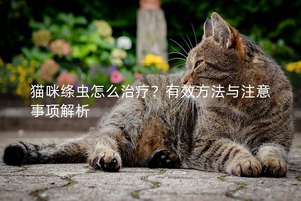貓咪絳蟲怎么治療？有效方法與注意事項解析