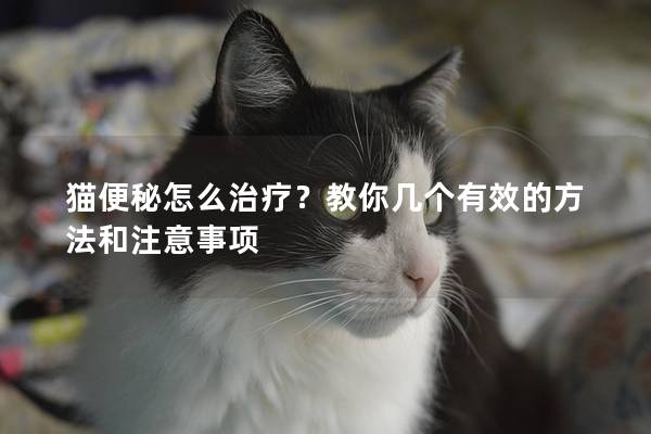 貓便秘怎么治療?教你幾個有效的方法和注意事項 貓便秘怎么治療?教你幾個有效的方法和注意事項