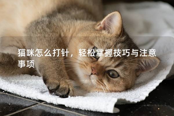 貓咪怎么打針，輕松掌握技巧與注意事項