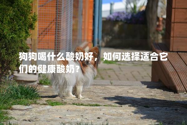 狗狗喝什么酸奶好，如何選擇適合它們的健康酸奶？
