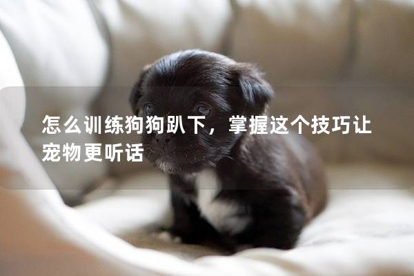 怎么訓(xùn)練狗狗趴下，掌握這個(gè)技巧讓寵物更聽話