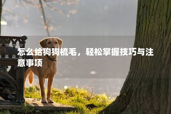 怎么給狗狗梳毛，輕松掌握技巧與注意事項