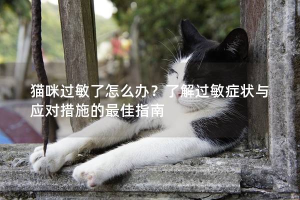 貓咪過敏了怎么辦？了解過敏癥狀與應對措施的最佳指南