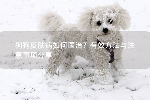 狗狗皮膚病如何醫(yī)治？有效方法與注意事項(xiàng)分享