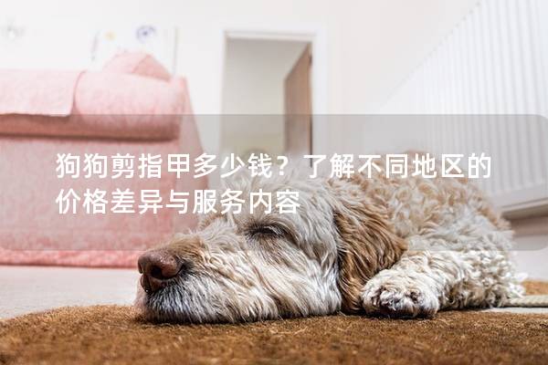狗狗剪指甲多少錢？了解不同地區的價格差異與服務內容