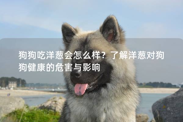 狗狗吃洋蔥會(huì)怎么樣？了解洋蔥對(duì)狗狗健康的危害與影響