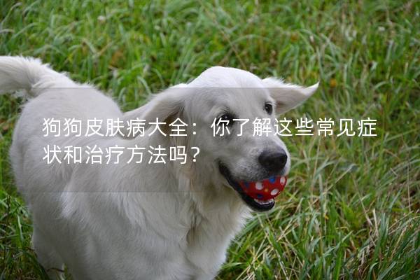 狗狗皮膚病大全：你了解這些常見癥狀和治療方法嗎？