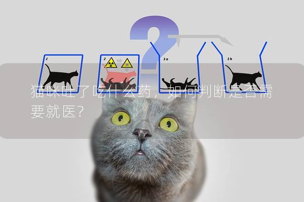 貓咪吐了吃什么藥，如何判斷是否需要就醫？