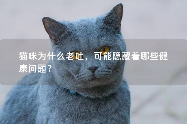 貓咪為什么老吐，可能隱藏著哪些健康問題？