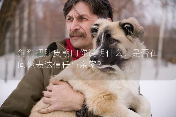 狗狗把肚皮朝向你說明什么，是否在向你表達信任與親密？