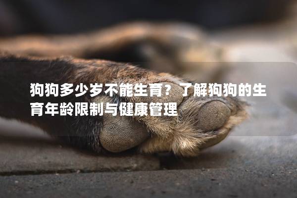 狗狗多少歲不能生育？了解狗狗的生育年齡限制與健康管理