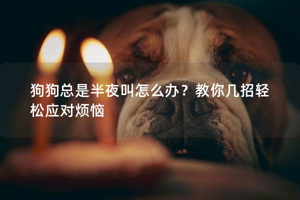 狗狗總是半夜叫怎么辦？教你幾招輕松應對煩惱