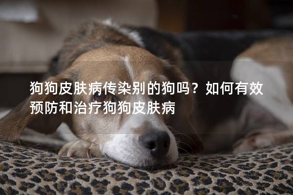 狗狗皮膚病傳染別的狗嗎?如何有效預(yù)防和治療狗狗皮膚病 狗狗皮膚病傳染別的狗嗎?如何有效預(yù)防和治療狗狗皮膚病