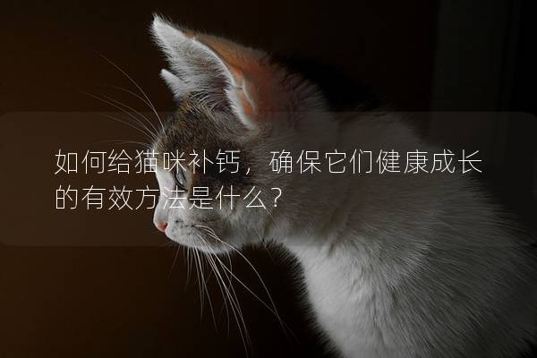 如何給貓咪補鈣，確保它們健康成長的有效方法是什么？