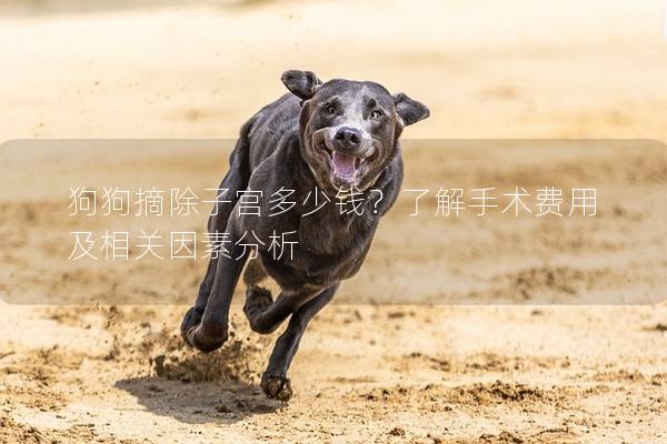 狗狗摘除子宮多少錢？了解手術費用及相關因素分析