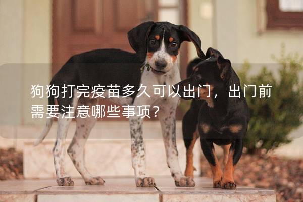 狗狗打完疫苗多久可以出門，出門前需要注意哪些事項(xiàng)？