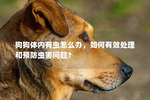 狗狗體內(nèi)有蟲怎么辦，如何有效處理和預(yù)防蟲害問題？