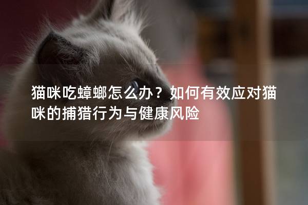 貓咪吃蟑螂怎么辦？如何有效應對貓咪的捕獵行為與健康風險