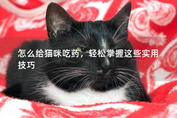 怎么給貓咪吃藥，輕松掌握這些實用技巧