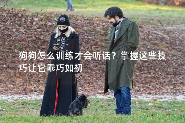 狗狗怎么訓(xùn)練才會聽話？掌握這些技巧讓它乖巧如初