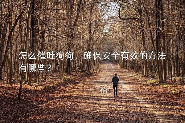 怎么催吐狗狗，確保安全有效的方法有哪些？