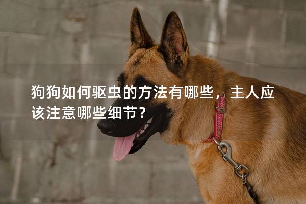 狗狗如何驅(qū)蟲的方法有哪些，主人應該注意哪些細節(jié)？