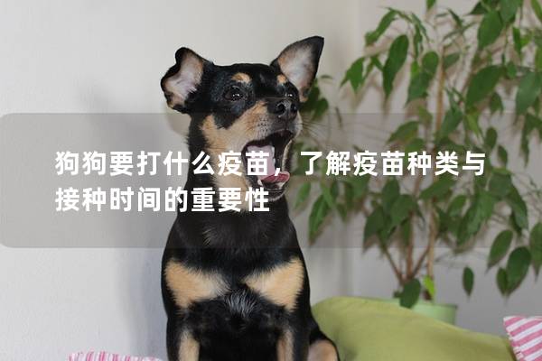 狗狗要打什么疫苗，了解疫苗種類與接種時間的重要性