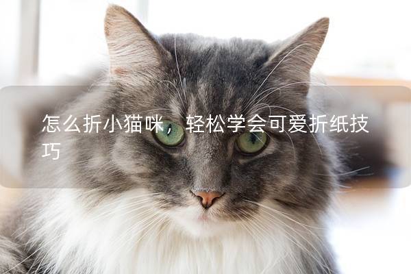 怎么折小貓咪，輕松學(xué)會可愛折紙技巧