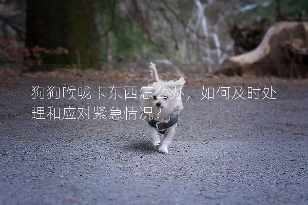 狗狗喉嚨卡東西怎么辦，如何及時處理和應(yīng)對緊急情況？