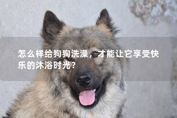 怎么樣給狗狗洗澡，才能讓它享受快樂的沐浴時光？