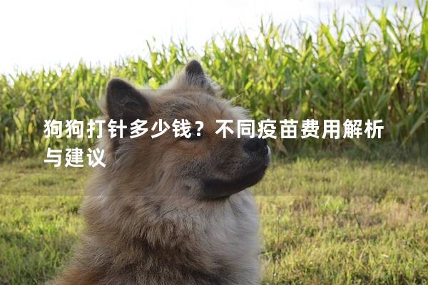 狗狗打針多少錢？不同疫苗費用解析與建議