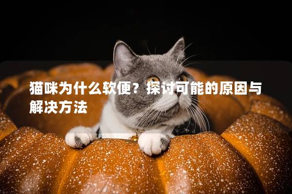 貓咪為什么軟便？探討可能的原因與解決方法