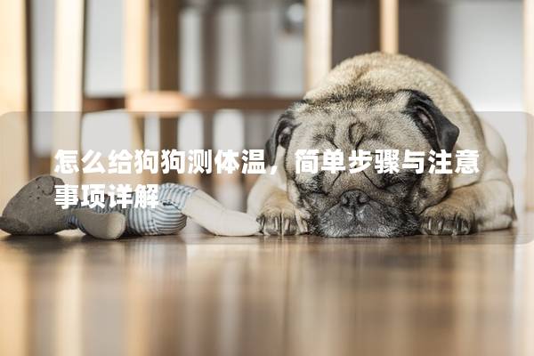 怎么給狗狗測體溫，簡單步驟與注意事項(xiàng)詳解