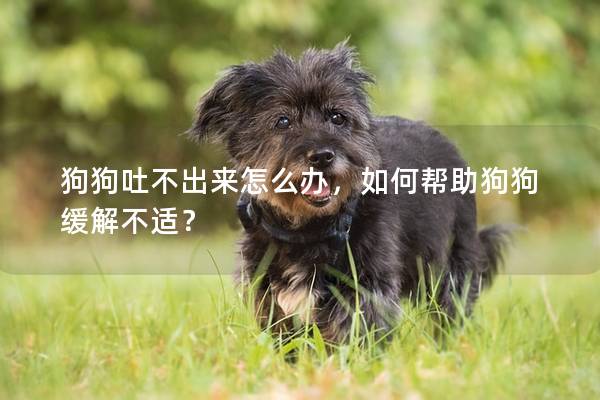 狗狗吐不出來怎么辦，如何幫助狗狗緩解不適？