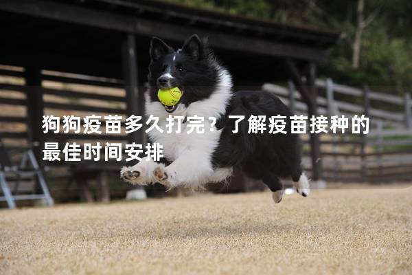 狗狗疫苗多久打完？了解疫苗接種的最佳時(shí)間安排