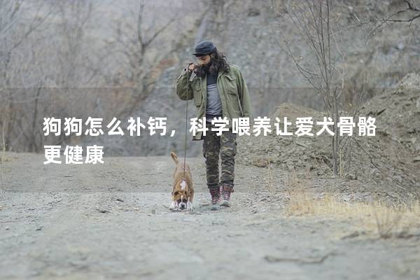 狗狗怎么補(bǔ)鈣，科學(xué)喂養(yǎng)讓愛犬骨骼更健康