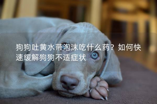 狗狗吐黃水帶泡沫吃什么藥？如何快速緩解狗狗不適癥狀