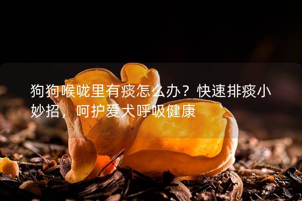 狗狗喉嚨里有痰怎么辦？快速排痰小妙招，呵護(hù)愛犬呼吸健康