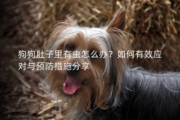 狗狗肚子里有蟲怎么辦？如何有效應對與預防措施分享