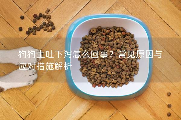 狗狗上吐下瀉怎么回事？常見原因與應(yīng)對(duì)措施解析